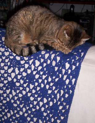 It's lonely at the top. (Of the sofa.) It's lonely at the top. (Of the sofa.)