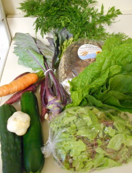 Once again, fresh deliciousness courtesy of a small CSA share with The Diaz Farm
