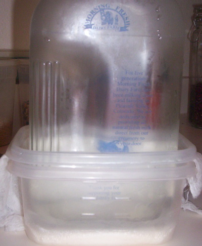 It was a nice coincidence that the milk jug fit so exactly into the Ziploks, and the whole fits so well in the refrigerator door. It was a nice coincidence that the milk jug fit so exactly into the Ziploks, and the whole fits so well in the refrigerator door.
