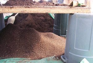 Sifting soil at Abbondanza Organic Seeds and Produce
