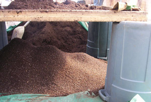 Sifting soil at Abbondanza Organic Seeds and Produce Sifting soil at Abbondanza Organic Seeds and Produce