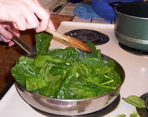 Sauteeing the spinach